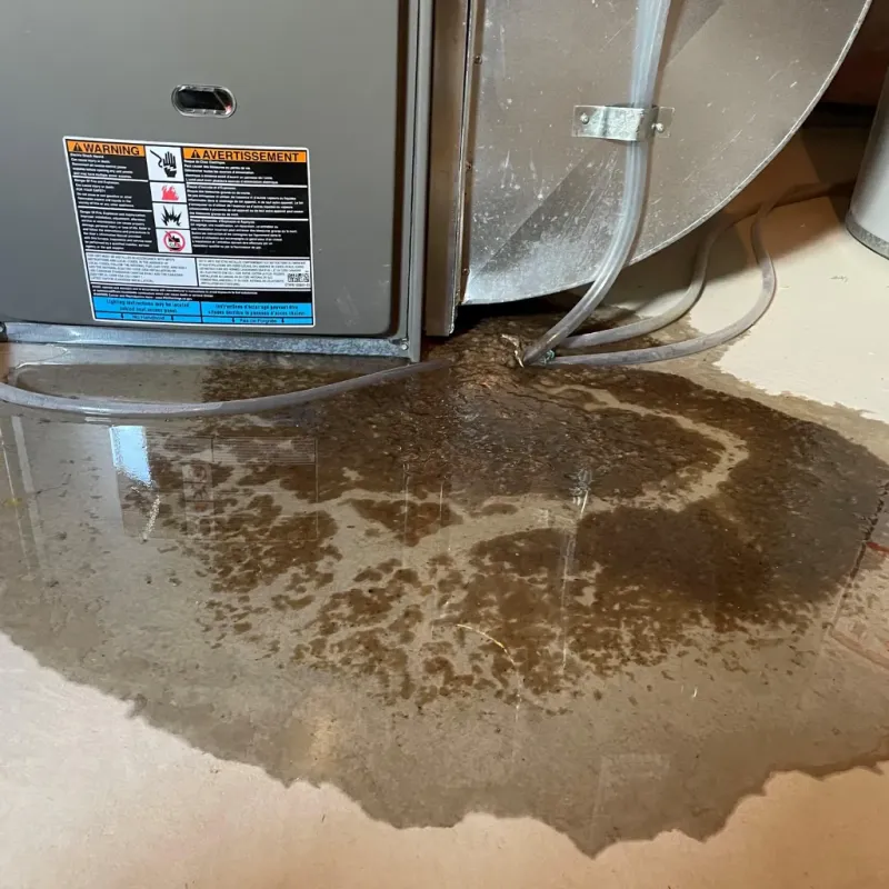 Appliance Leak Cleanup in Choctaw County, AL